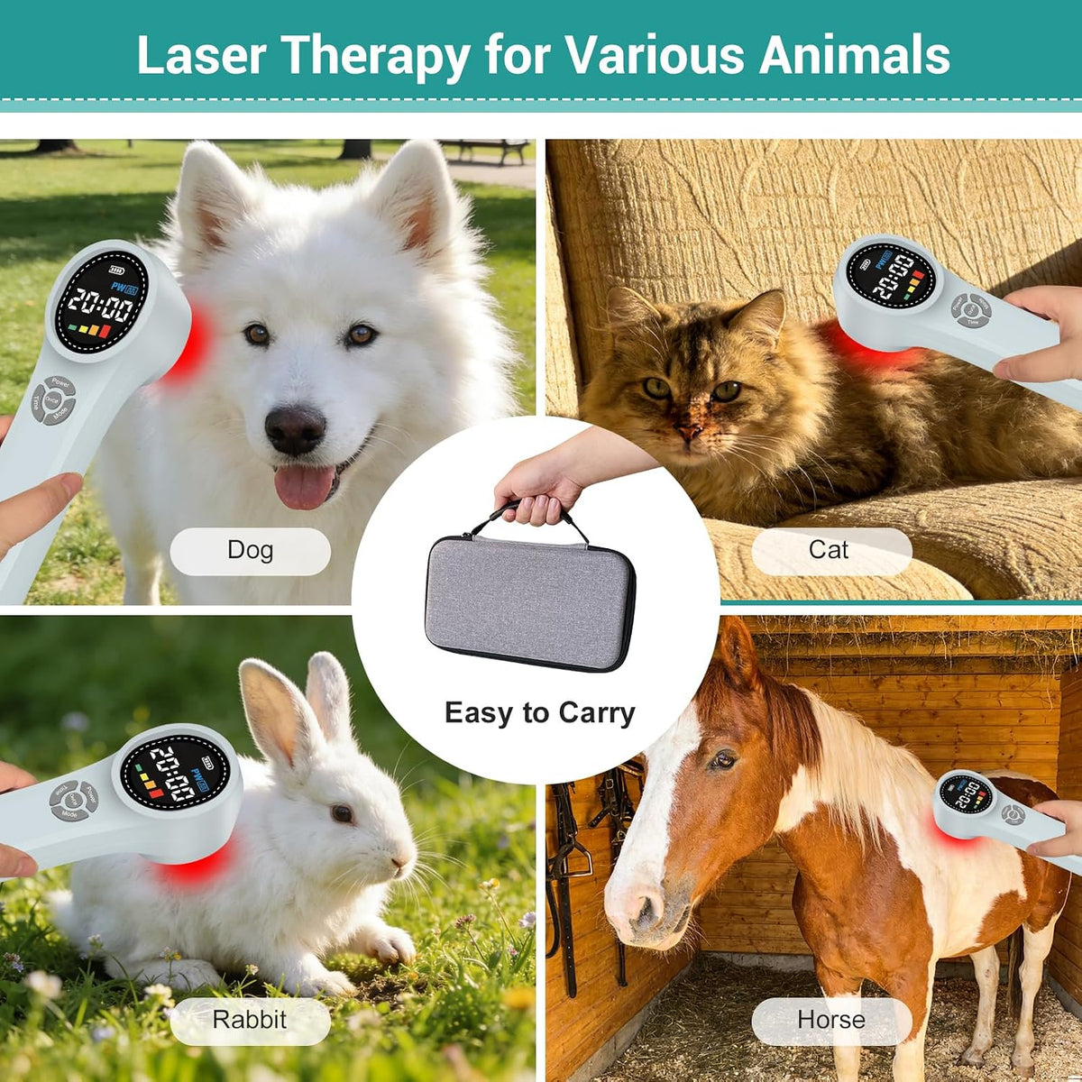 cold laser therapy device for dogs, infrared red showing dimensions