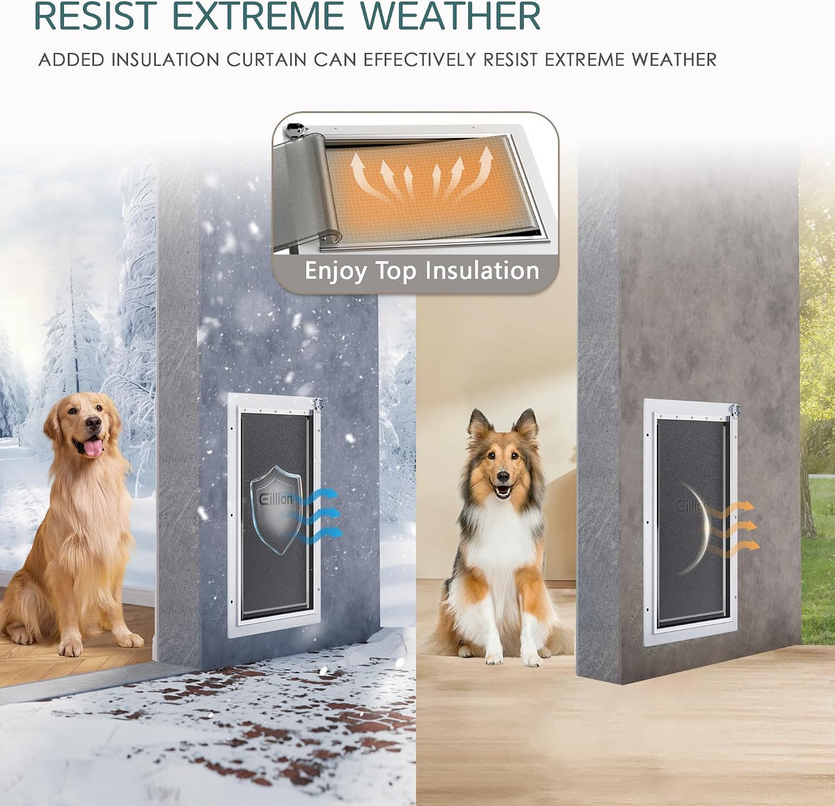 pet door for wall dog door for wall, side view