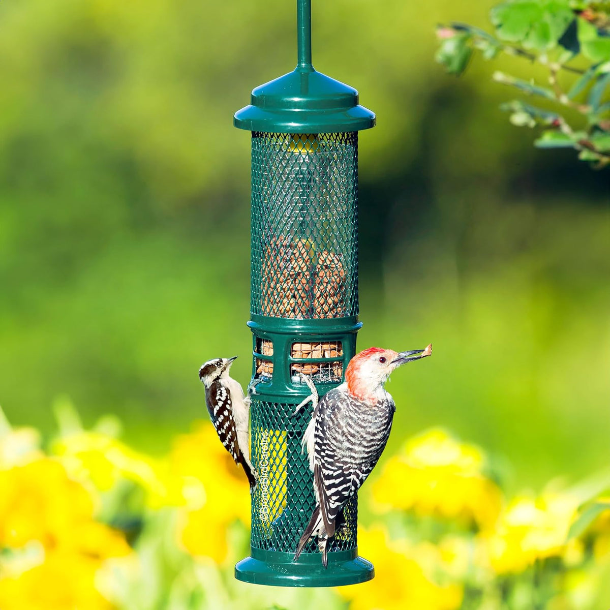 squirrel buster nut truly squirrel-proof bird feeder, side view