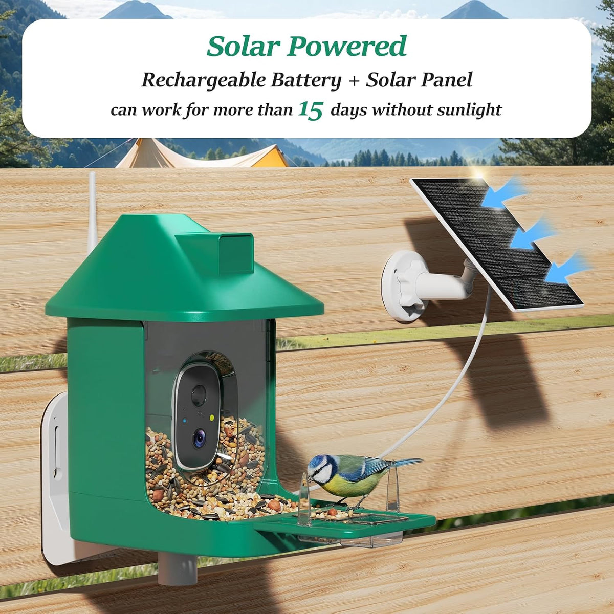 bird feeder with camera,wifi smart bird house with, close-up detail