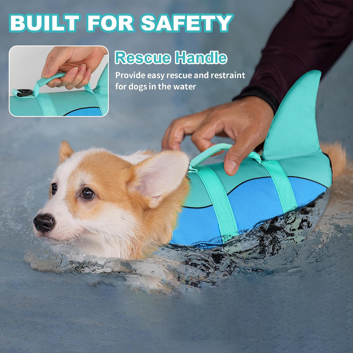 dogcheer dog life jacket, cute shark dog life, close-up detail