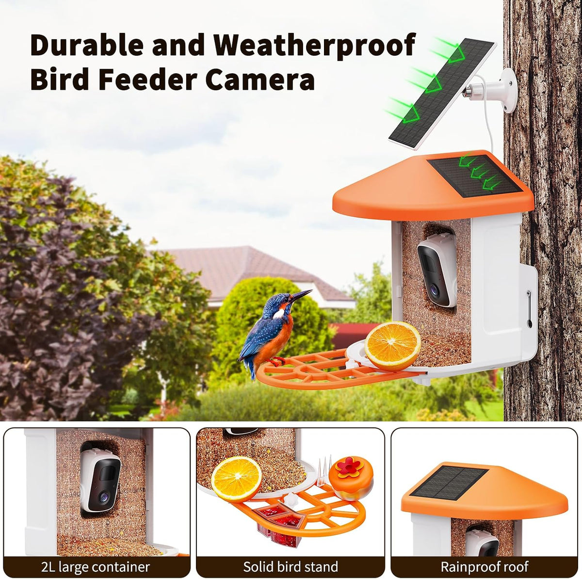 harymor bird feeder with camera, close-up detail