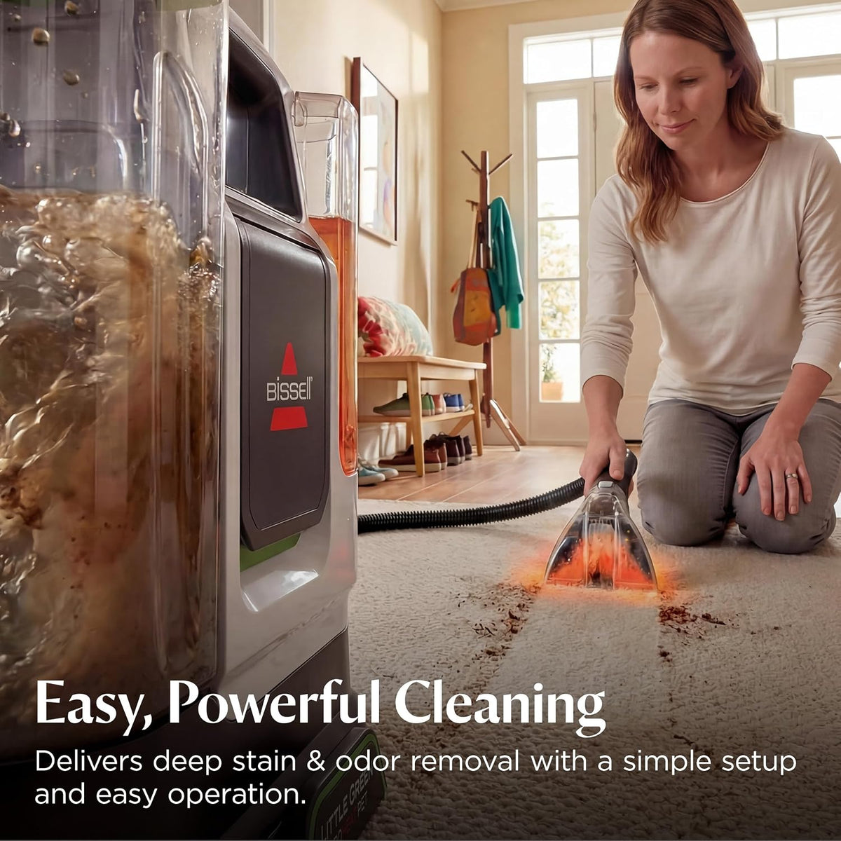 bissell little green proheat pet portable deep cleaner showing dimensions