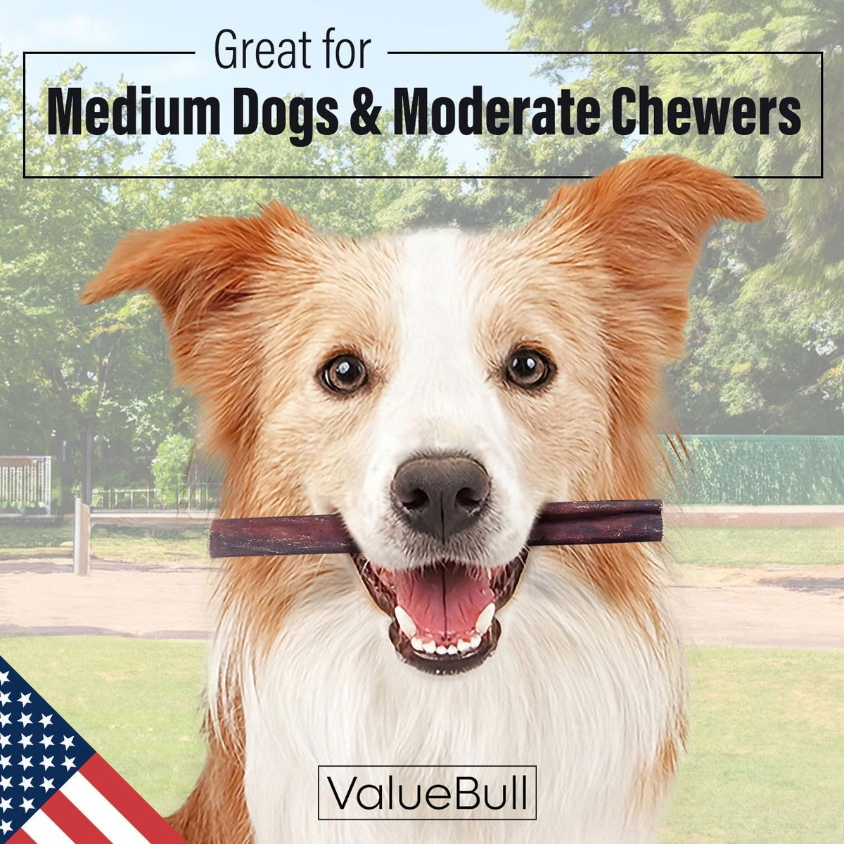 valuebull usa beef collagen sticks for dogs, 6 shown in use