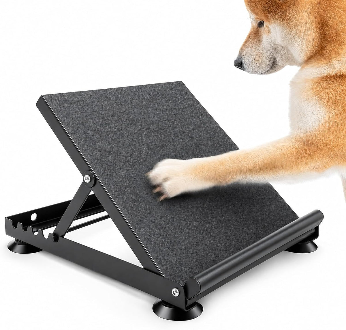 dog nail scratch board - adjustable metal scratch, main product view
