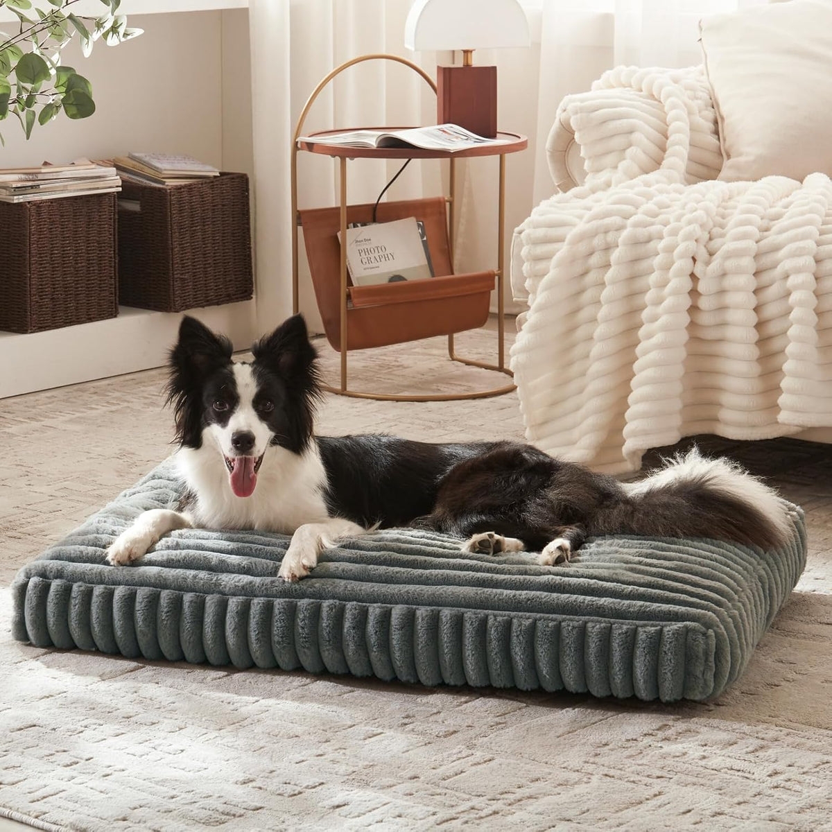 xl dog bed, flat pet beds with removable, front angle view