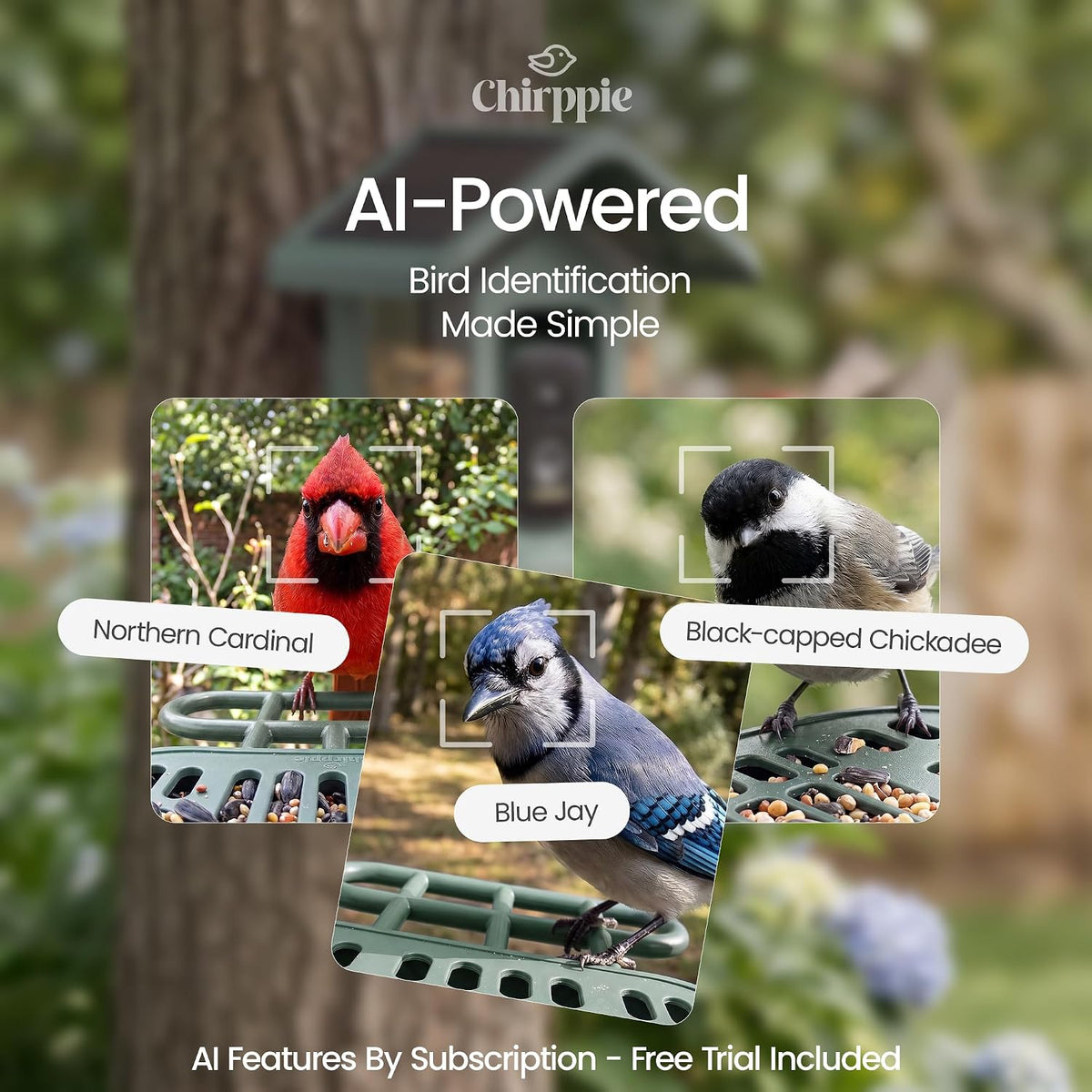 solar powered smart bird feeder with camera with shown in use