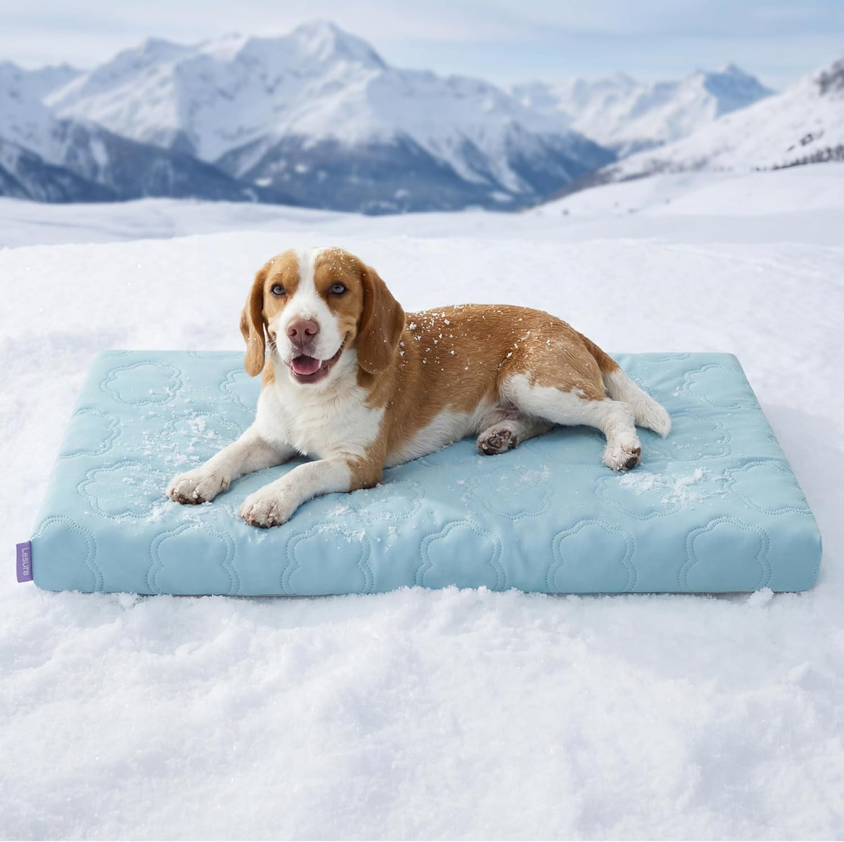 le sure apexcloud™ cooling dog bed for large, main product view