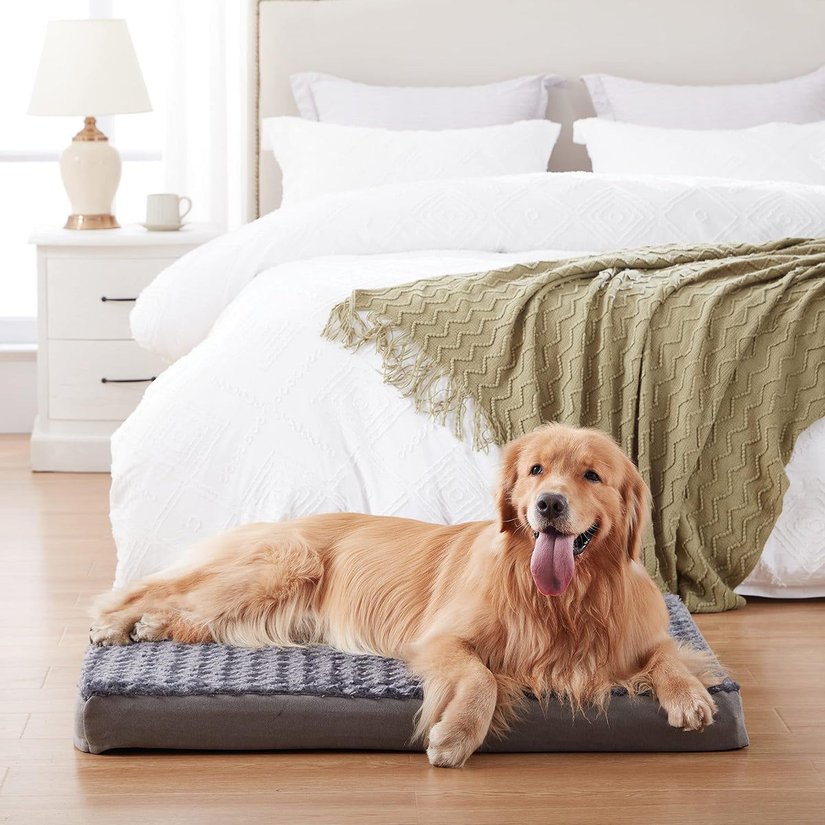 orthopedic memory foam dog bed, cooling dog beds shown in use
