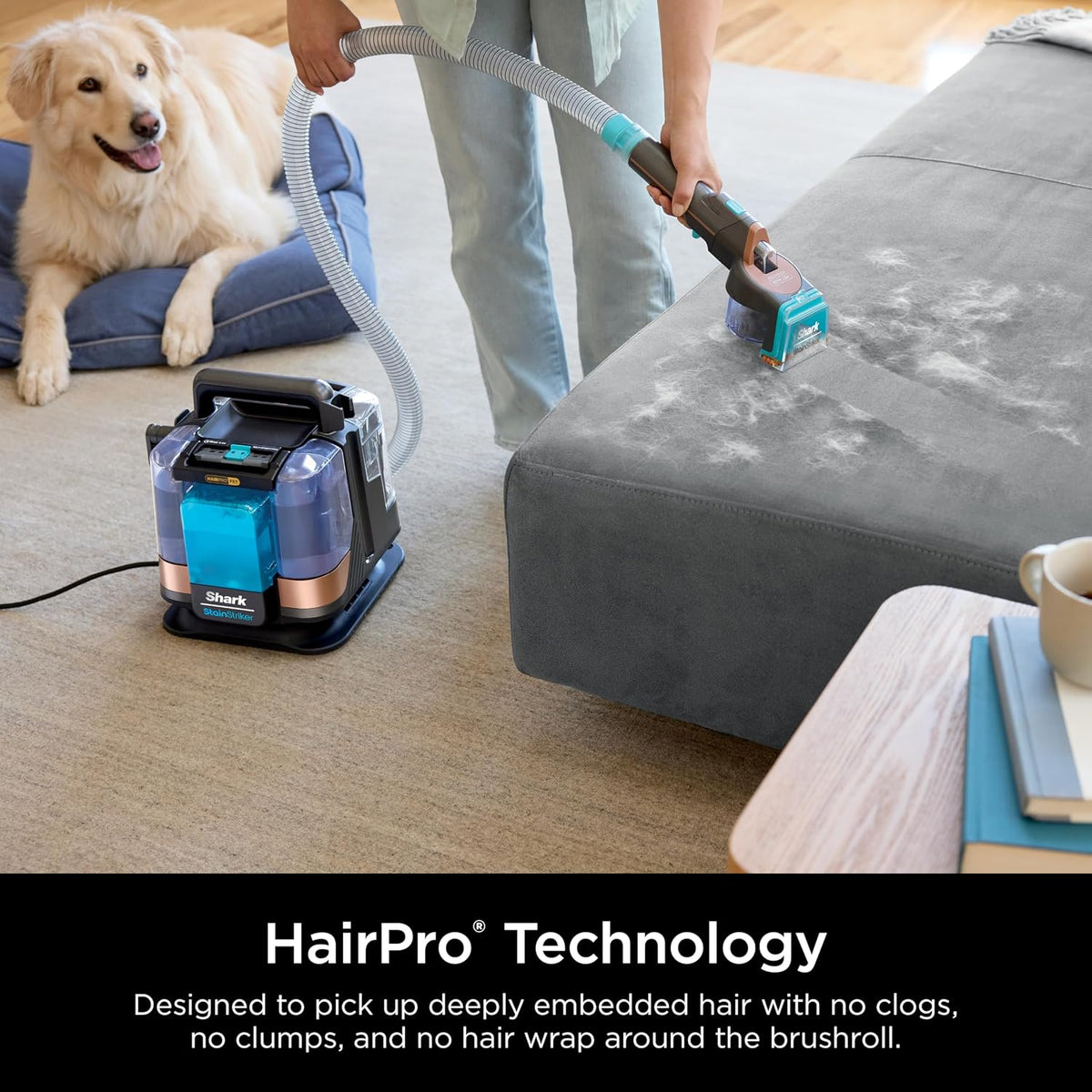 shark stainstriker hairpro pet, portable spot, stain, & showing dimensions