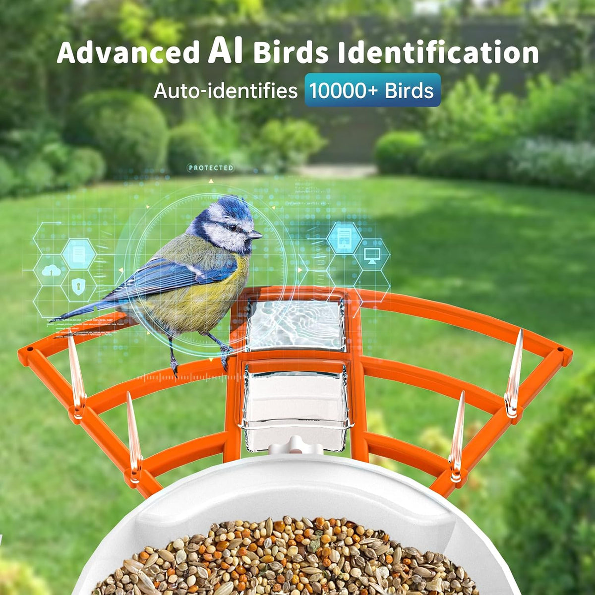 smart bird feeder with camera solar powered & shown in use