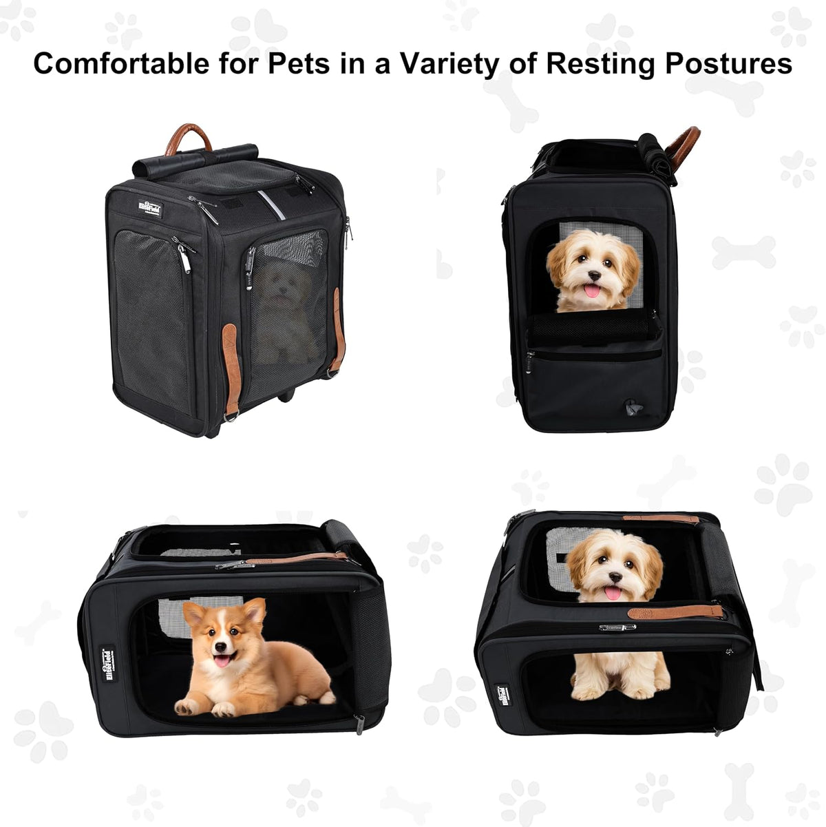 elitefield deluxe backpack pet carrier for cats and shown in use