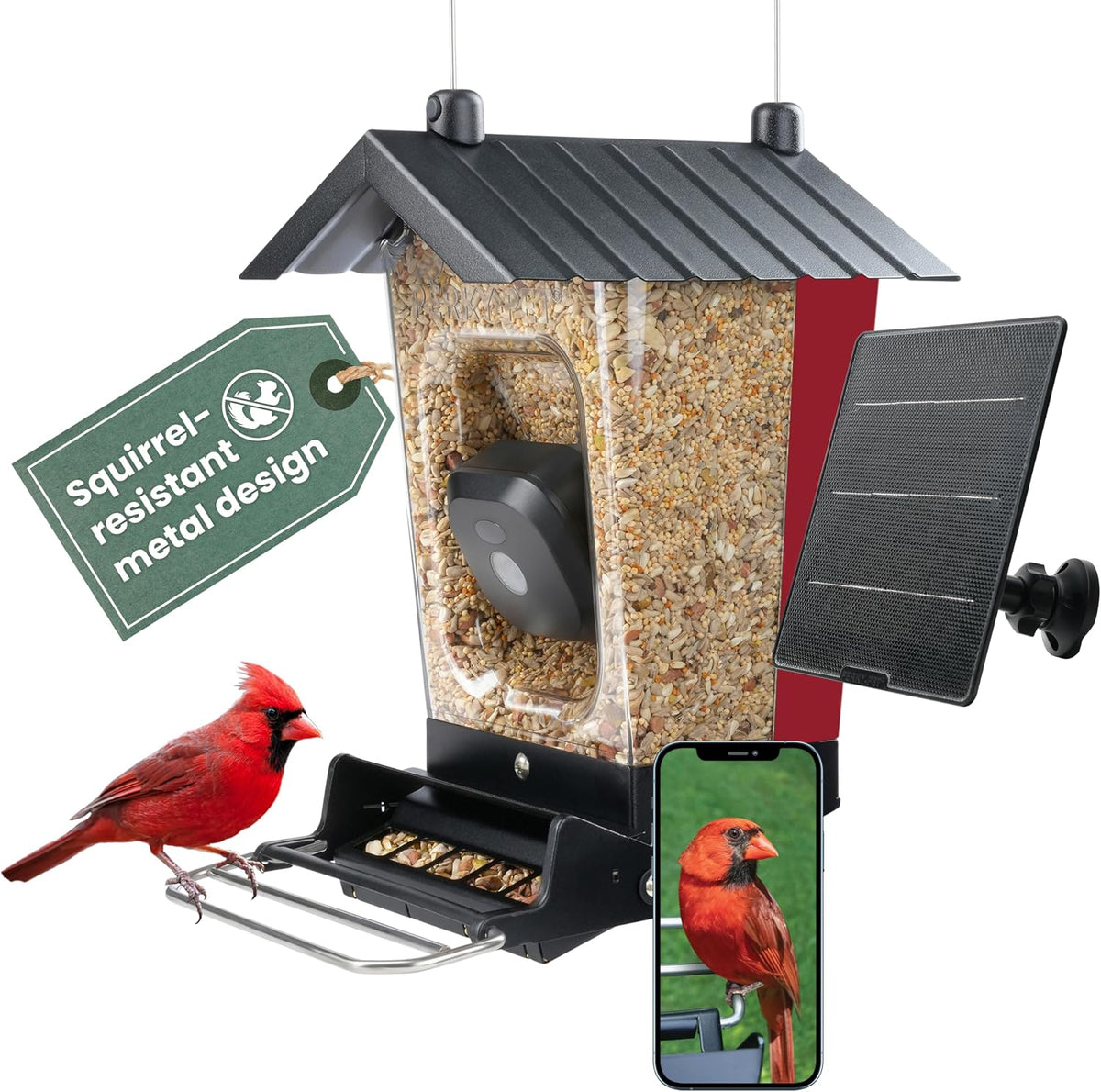 perky-pet solar powered smart bird feeder with camera, main product view