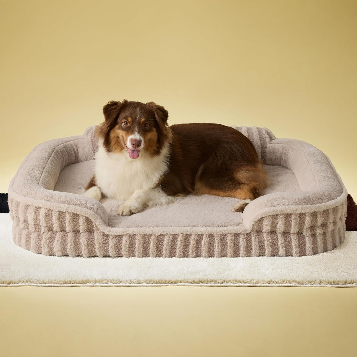le sure cute cozy high back orthopedic dog, main product view