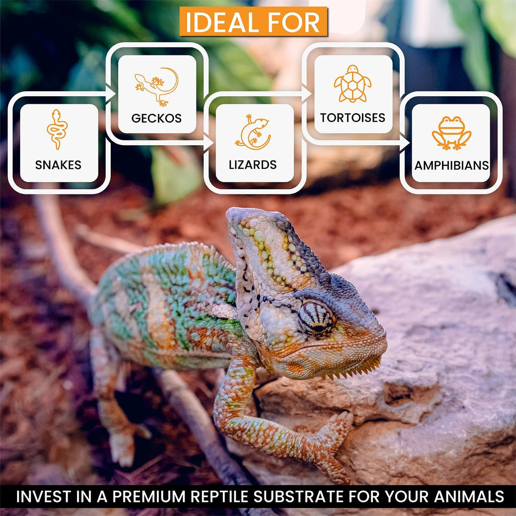 reptichip reptile substrate coconut chip bedding 72 quart shown in use