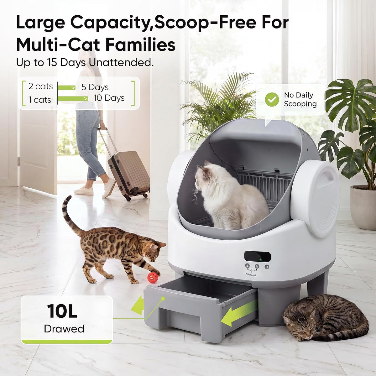 gunji auto-cleaning litter box – 10l, plug & shown in use