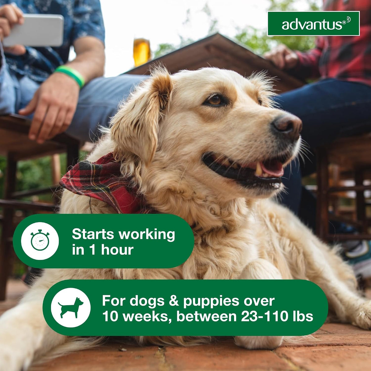 advantus (imidacloprid) soft chew flea treatment for dogs showing dimensions
