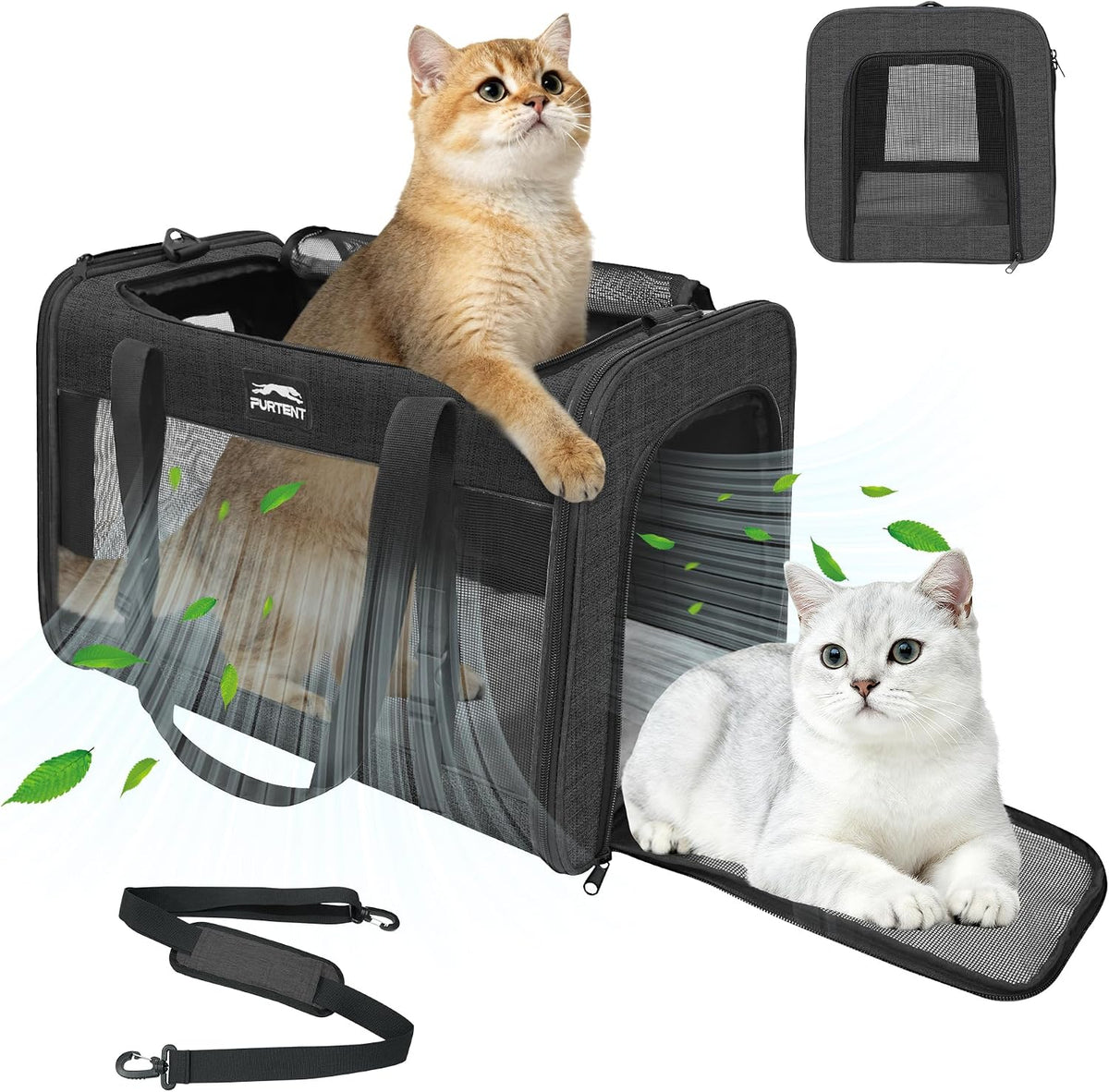 soft-sided large cat carrier for 2 cats, spacious, main product view