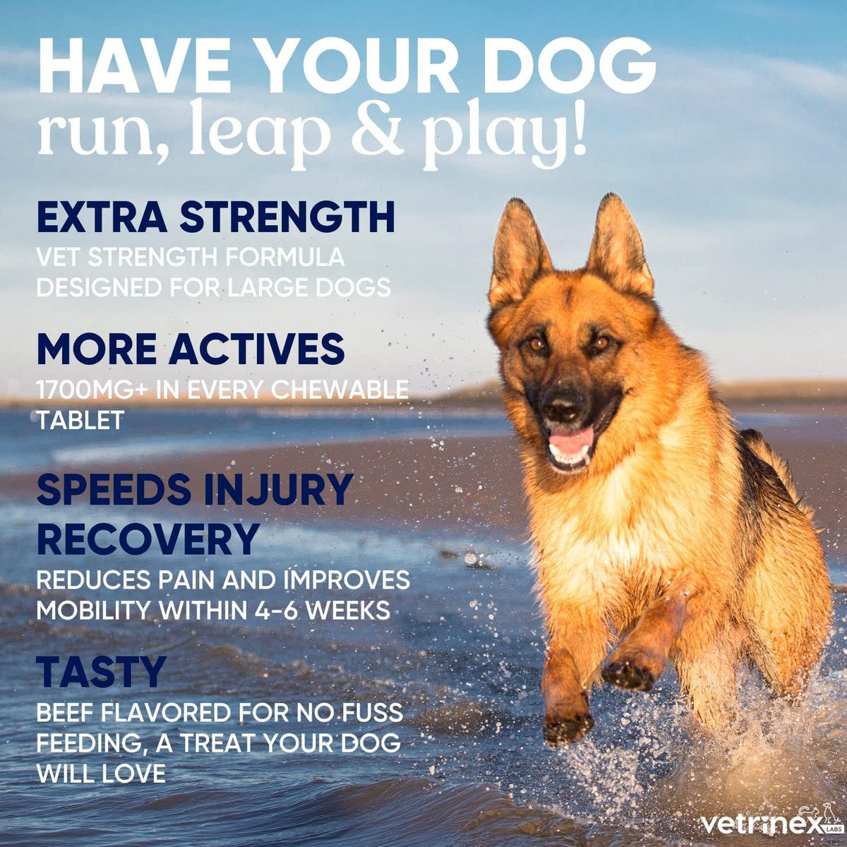 joint support supplement for large dogs - hip, close-up detail