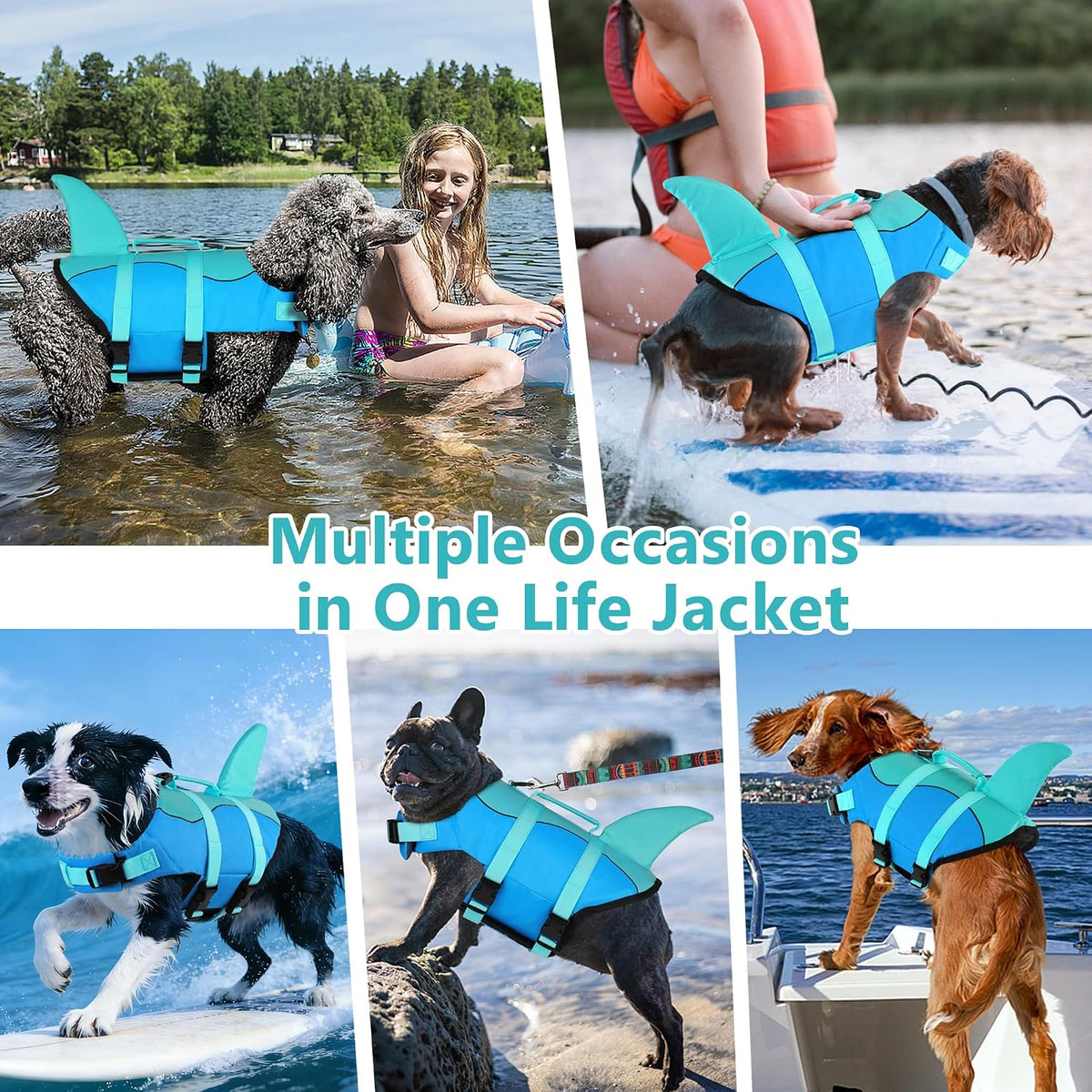 dogcheer dog life jacket, cute shark dog life, package contents