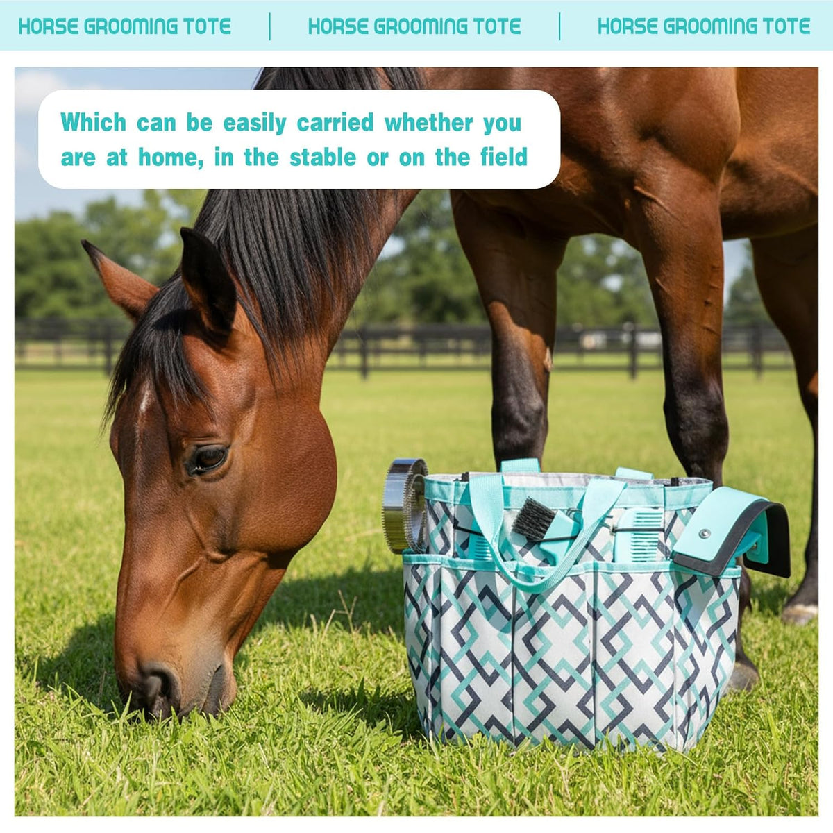 abbylike 12 piece horse grooming kit with organizer, side view