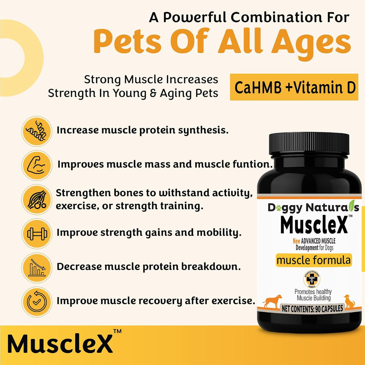 musclex™ canine muscle formula dogs with cahmb 500, close-up detail