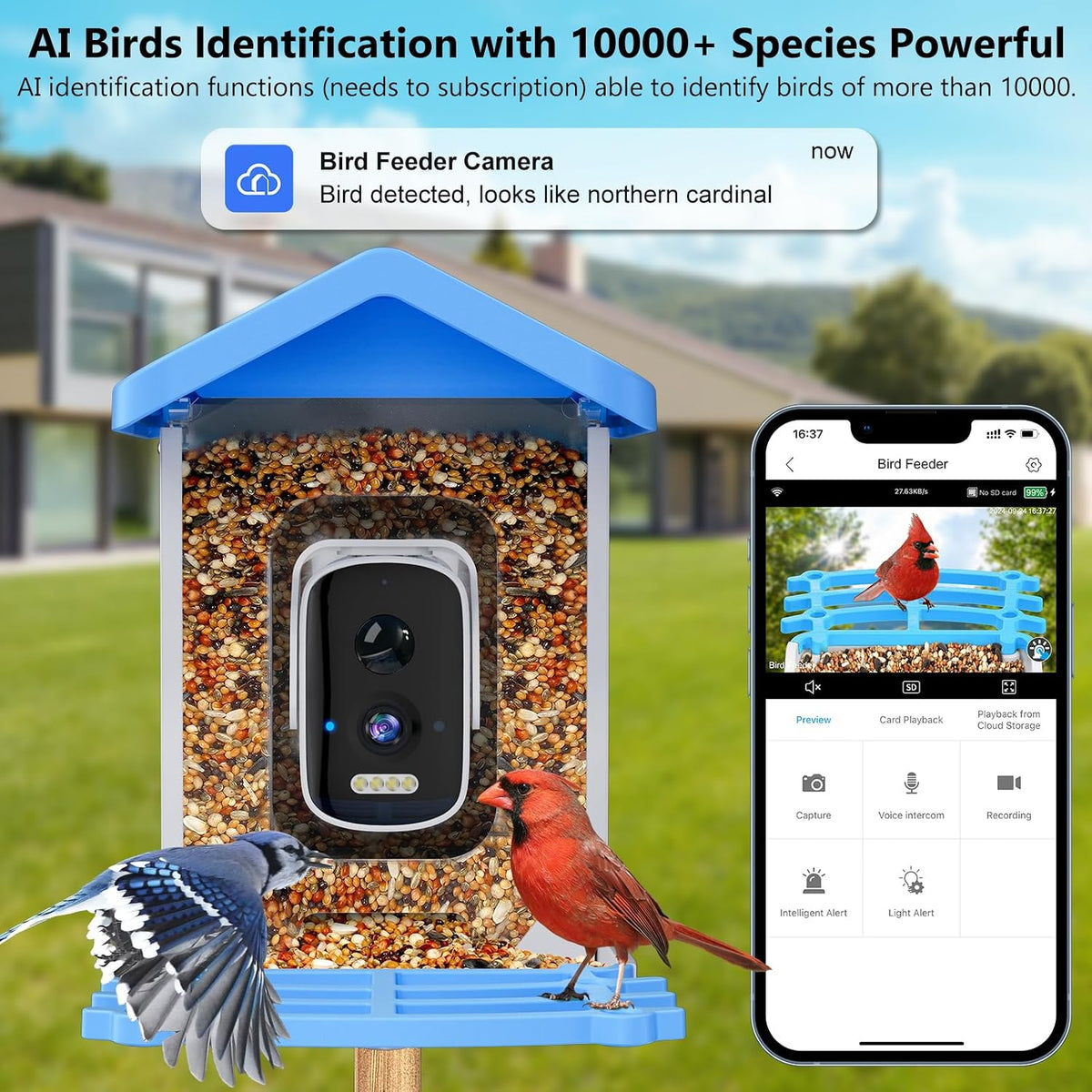 smart bird feeder with camera, ai bird species shown in use