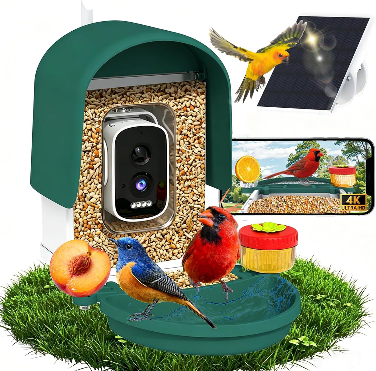 4k bird feeder camera, ai identify, solar, 2-way, main product view