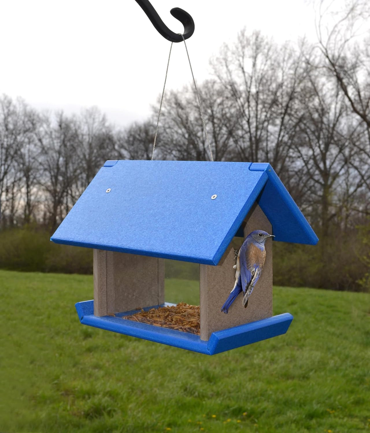 songbird essentials mealworm feeder blue/grey, main product view