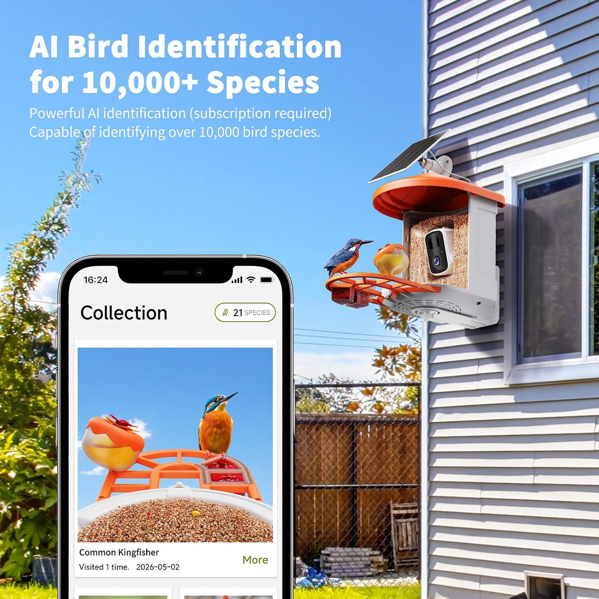 harymor bird feeder with camera shown in use