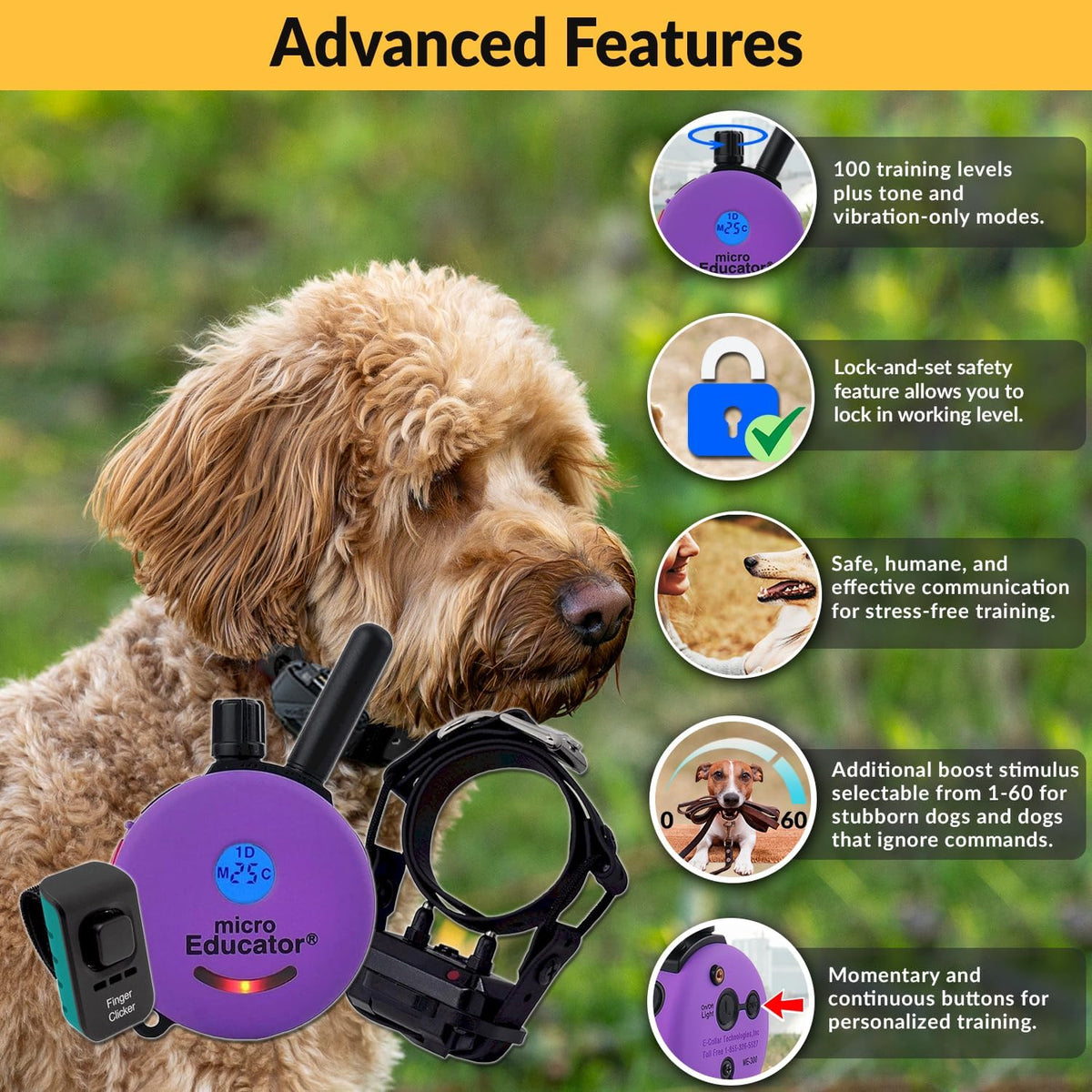 e-collar micro educator me-300 dog training collar, small shown in use