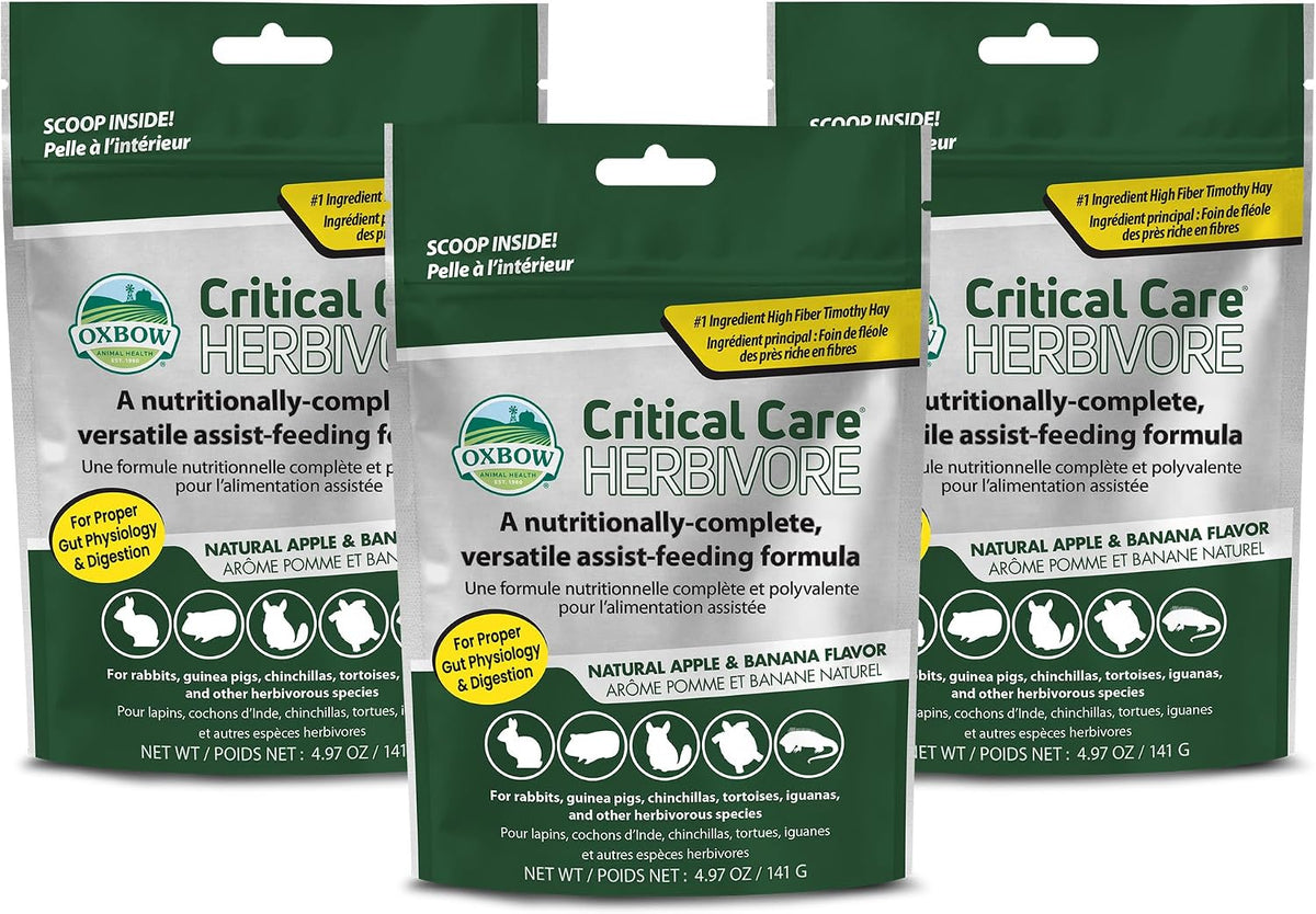 oxbow critical care herbivore small pet formula, apple, main product view