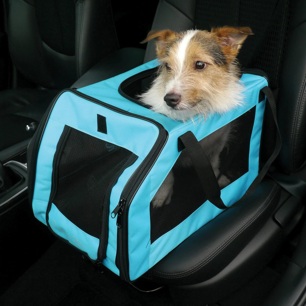 rosewood options pet car seat carrier, medium, aqua shown in use