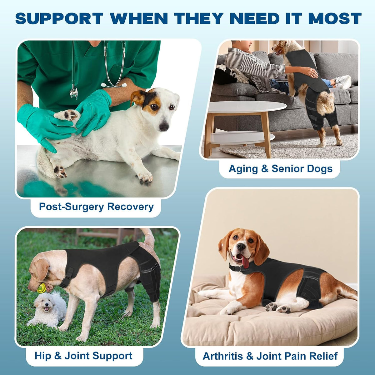 dog knee brace for torn acl hind leg, close-up detail