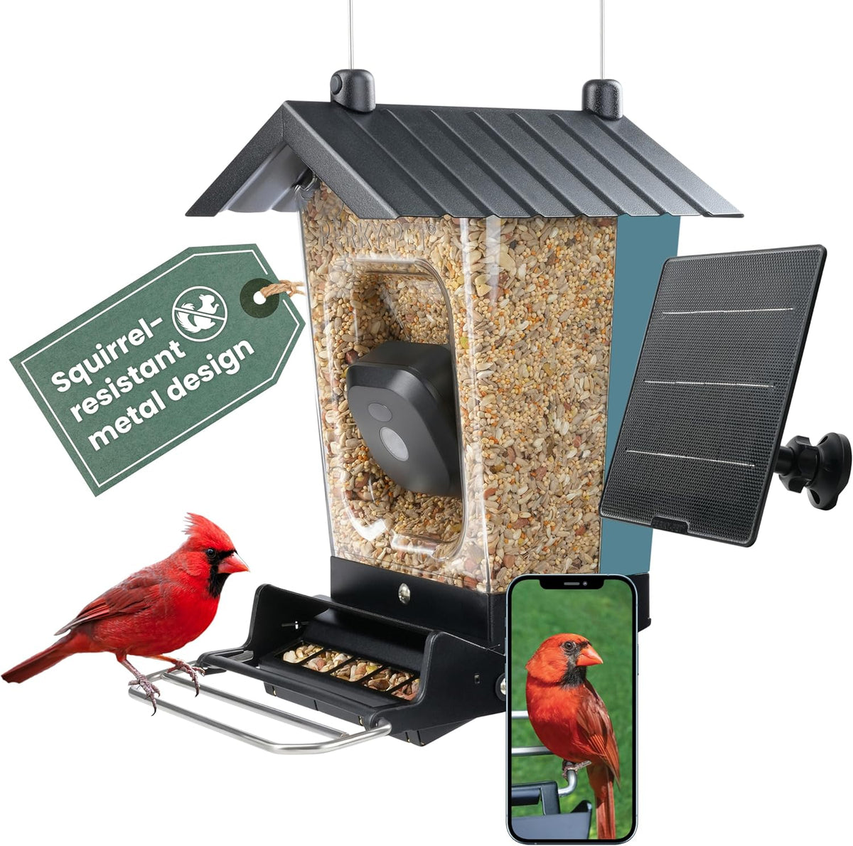 perky-pet solar powered smart bird feeder with camera, main product view
