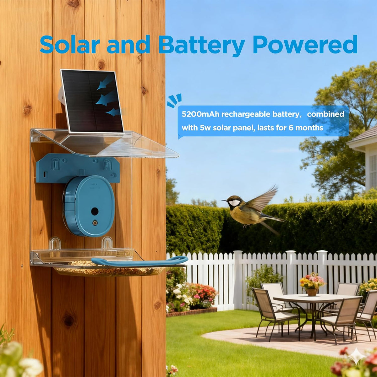smart bird feeder with camera solar powered,2k uhd, close-up detail