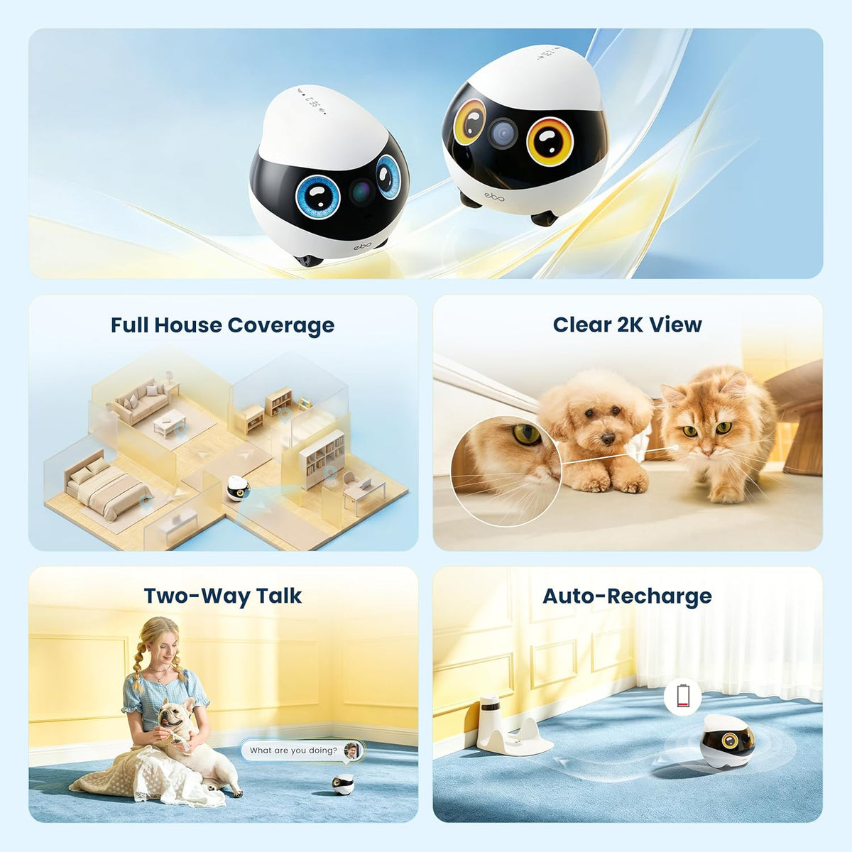 enabot ebo se 2 mobile pet camera: 2k shown in use