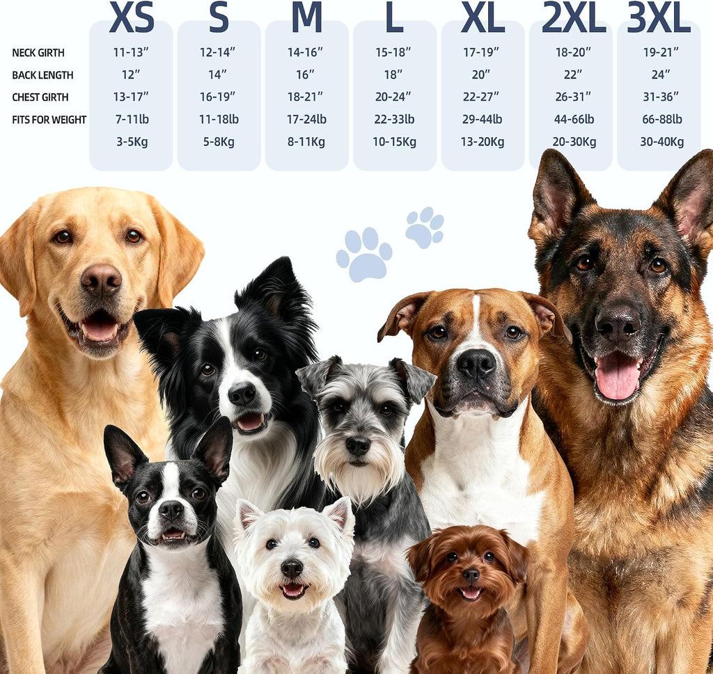 dog anxiety vest–dog calming shirt for noise,separation,blue,l(22-33lbs) on a desk or shelf