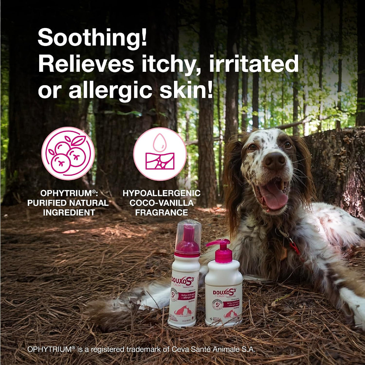 douxo s3 calm shampoo 6.7oz & itch soothing shown in use