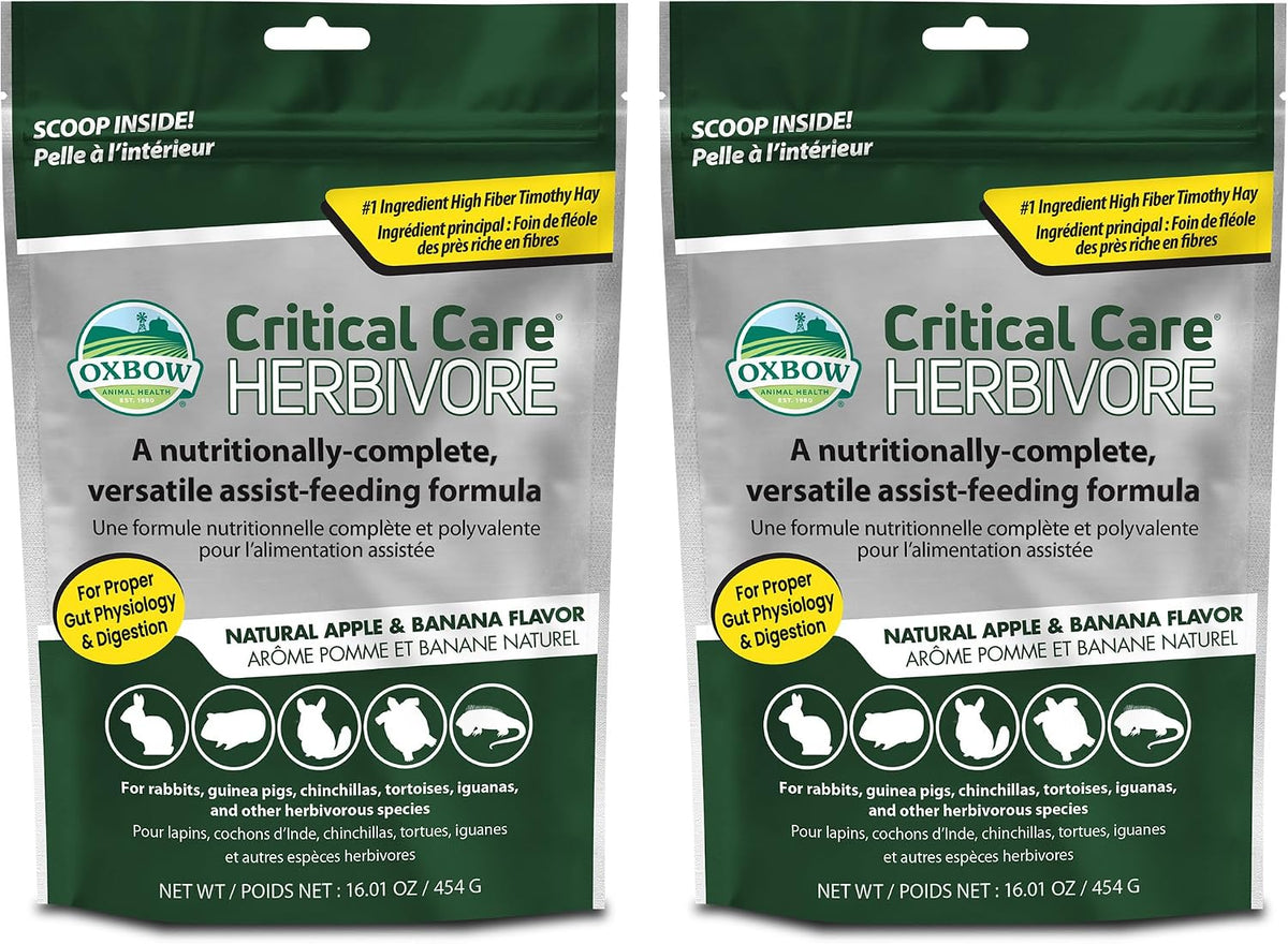 oxbow critical care herbivore small pet formula, apple, main product view
