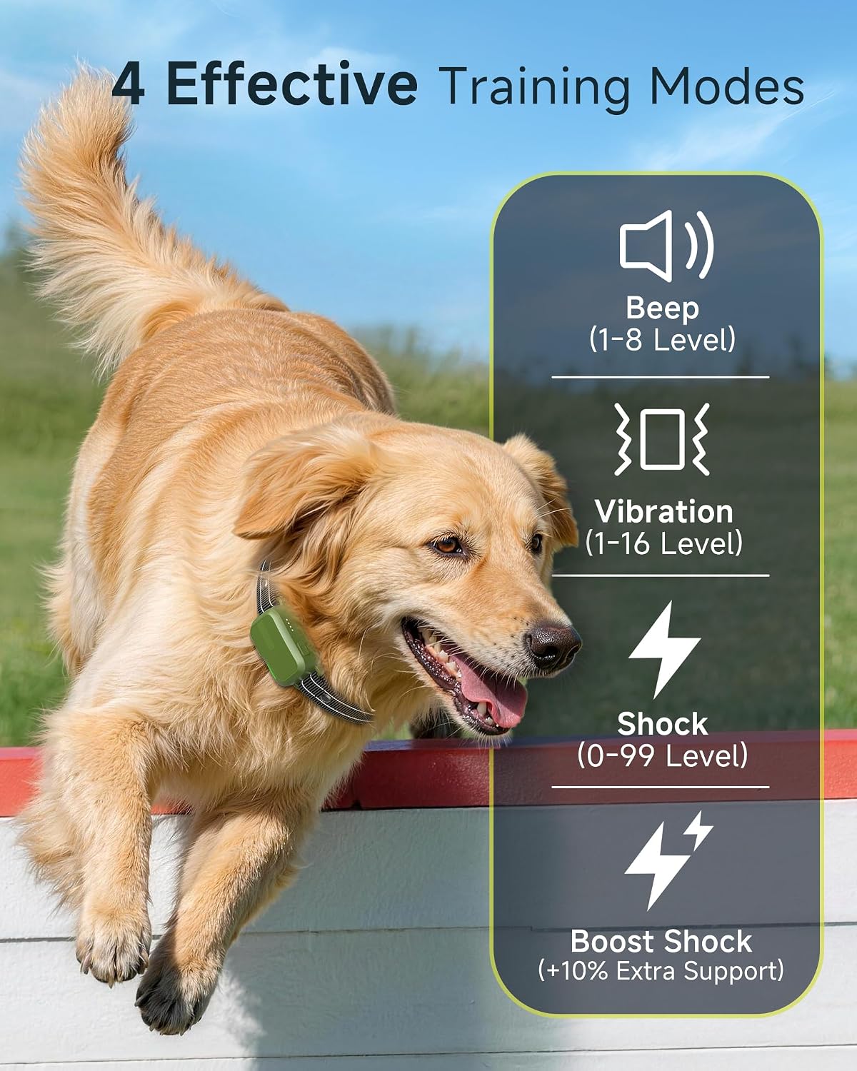 dog shock collar - 4500ft dog training collar shown in use