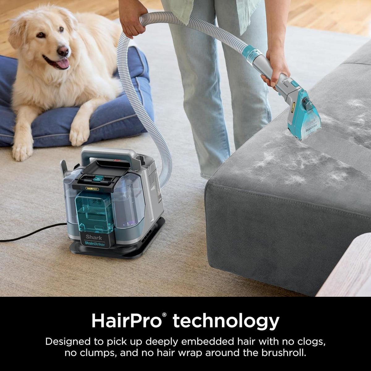 shark stainstriker hairpro portable carpet, upholstery & area showing dimensions