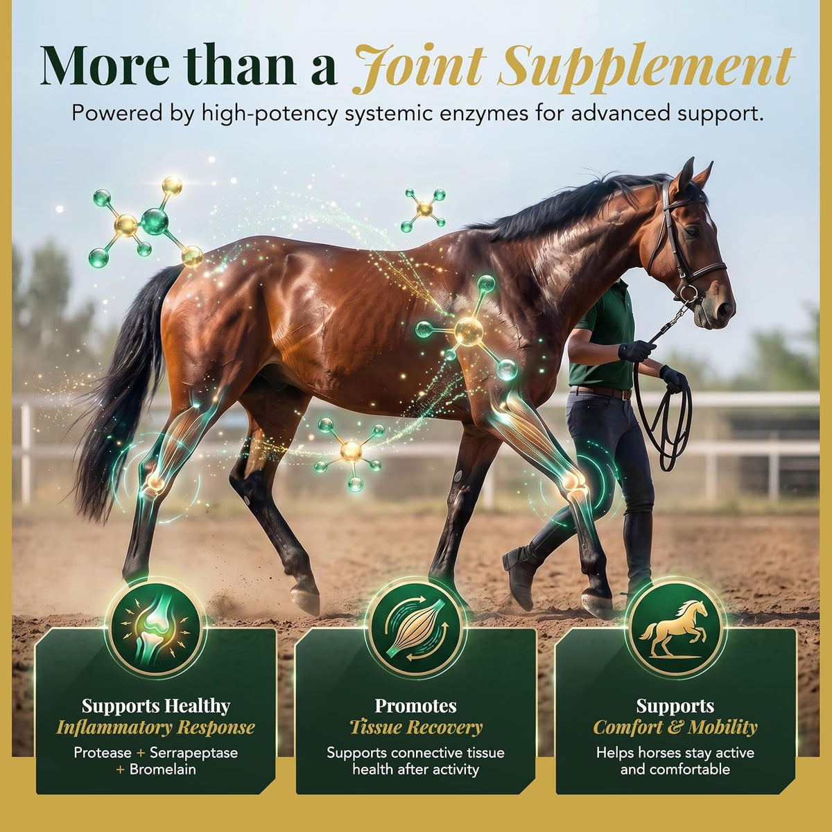 horse joint supplement powder, glucosamine, chondroitin & msm, close-up detail