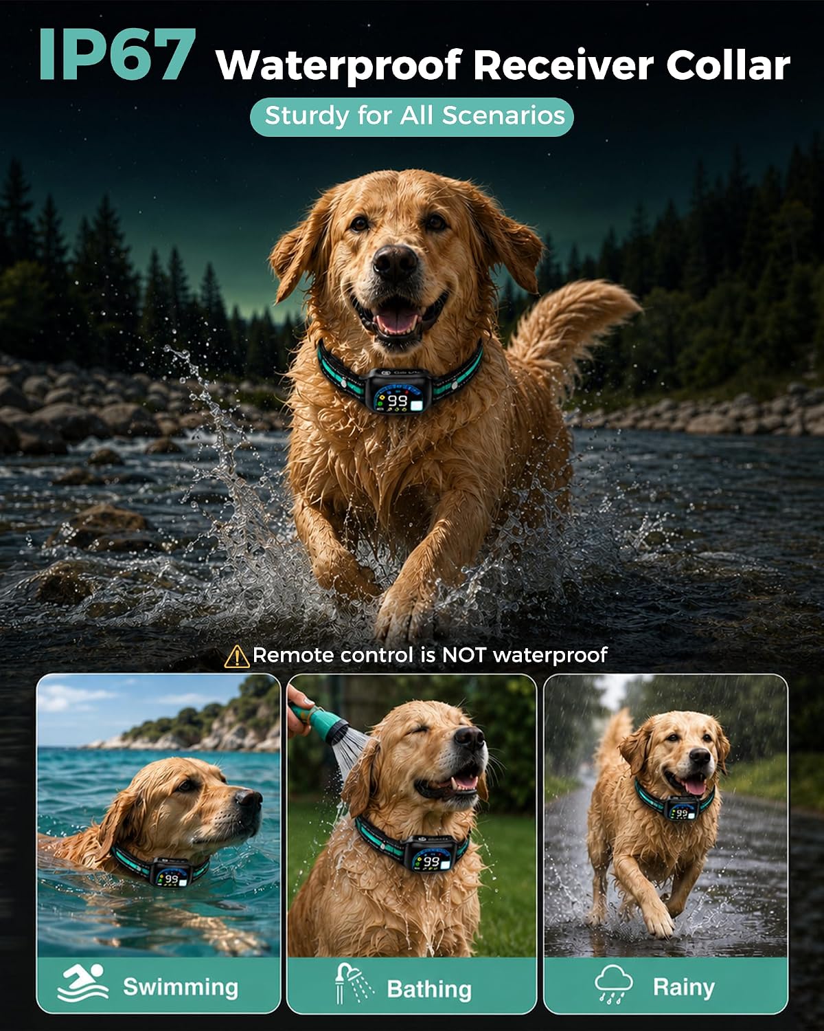 sevy buzzy 2-in-1 dog bark collar & dog, side view