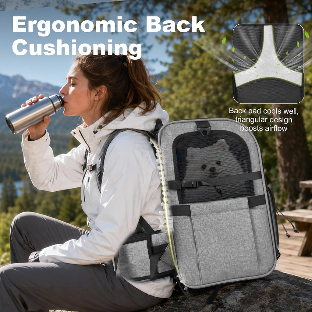 pet carrier backpack for small dogs & cats on a desk or shelf