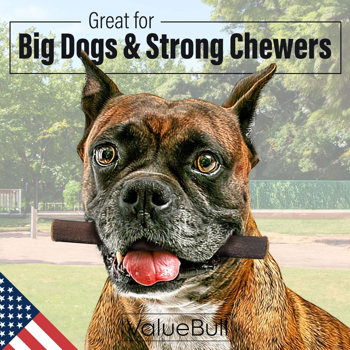 valuebull usa beef collagen sticks for dogs, 6 shown in use