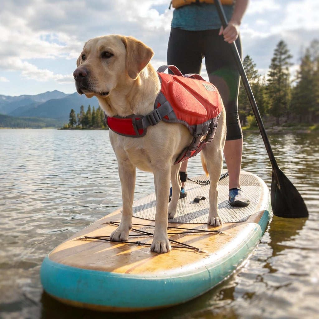 outward hound dawson swim dog life jacket, life, front angle view