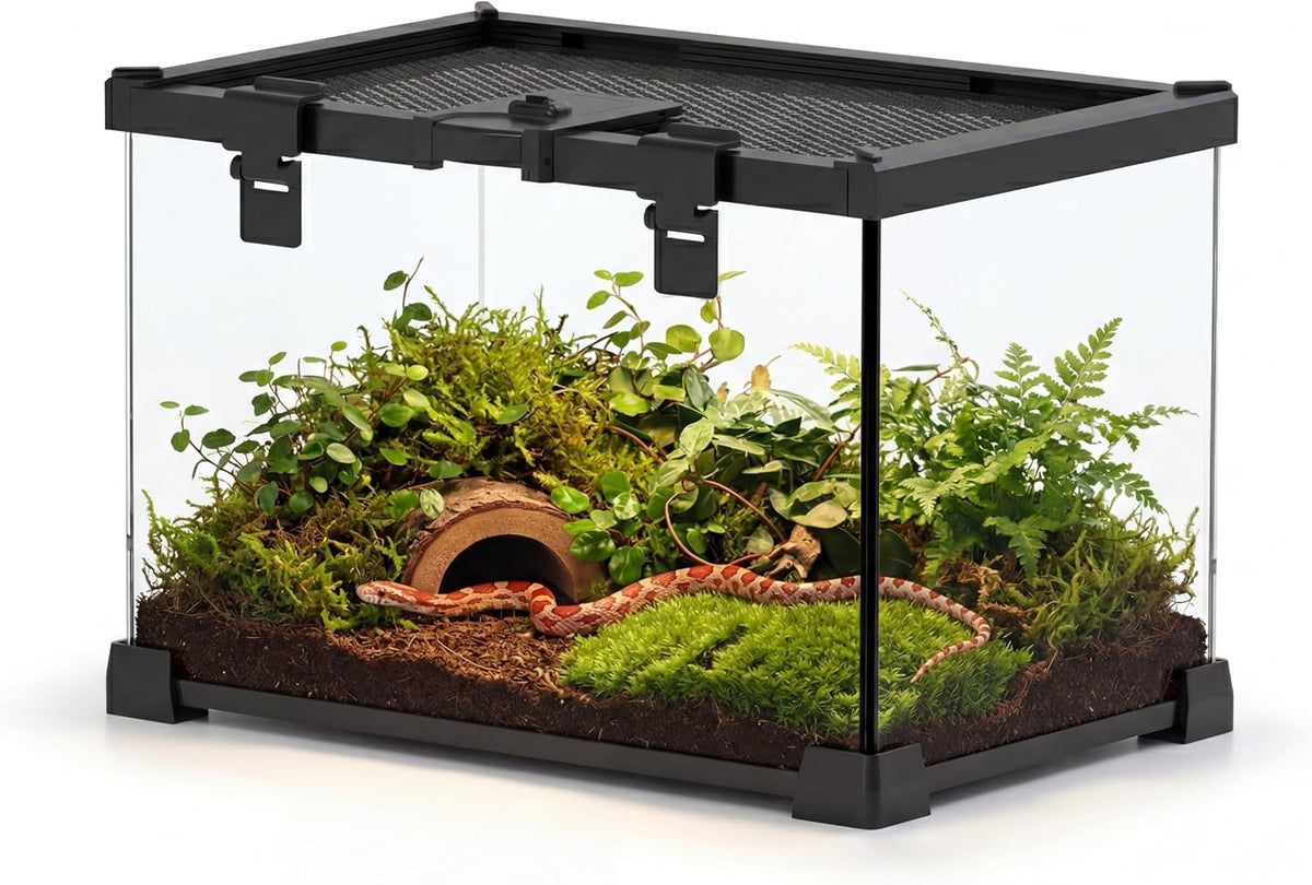 12"x8"x8" reptile terrarium, escape-proof glass terrestrial vivarium for, main product view