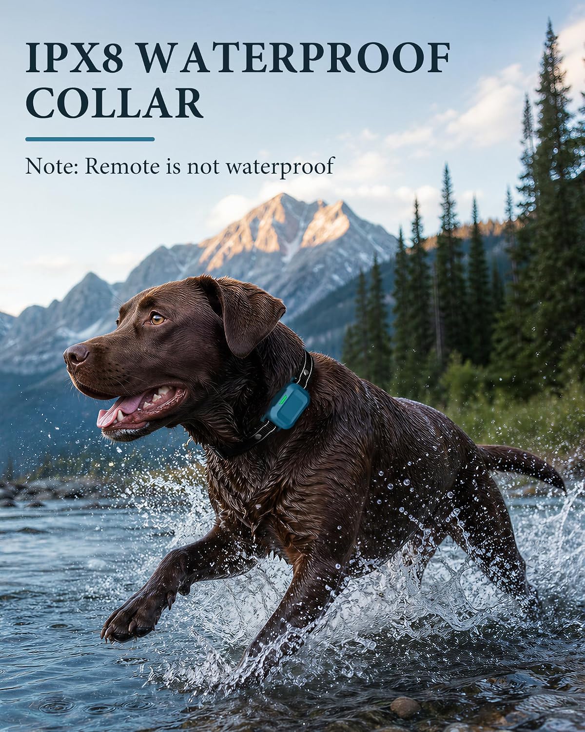 dog shock collar 2 dogs - 4200ft dog showing dimensions