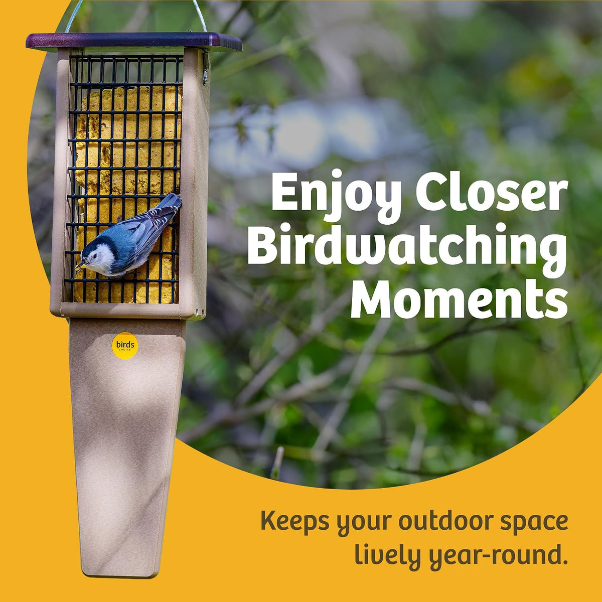 birds choice pileated 2 suet cake feeder with, close-up detail